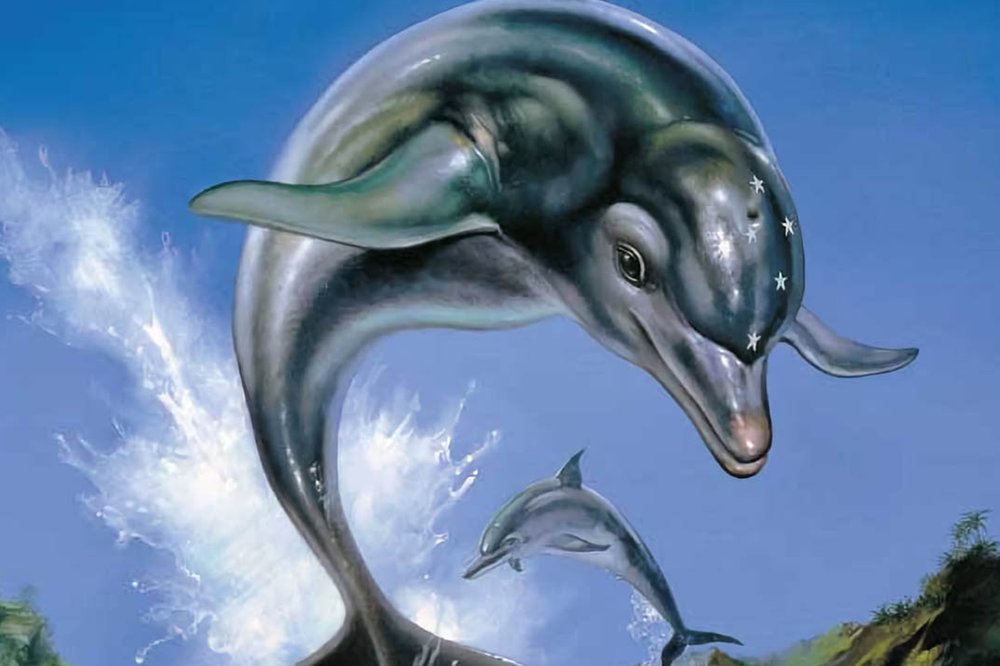 Ecco The Dolphin