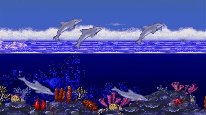 Ecco The Dolphin